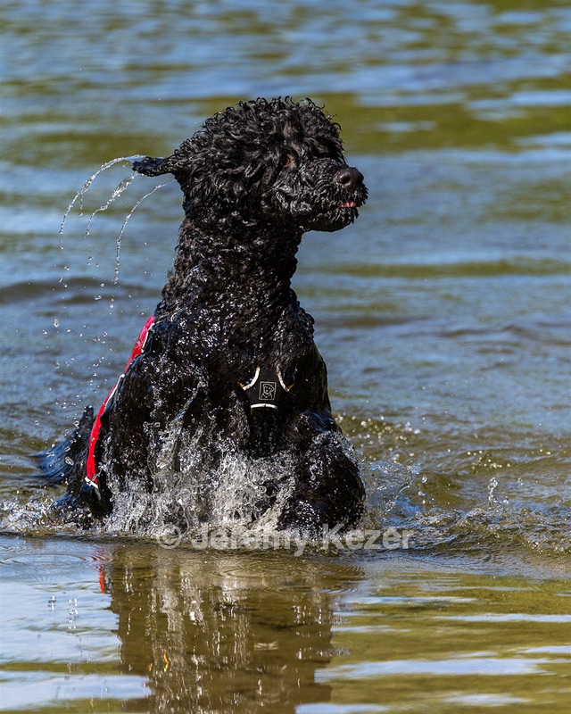 Breeze Holden