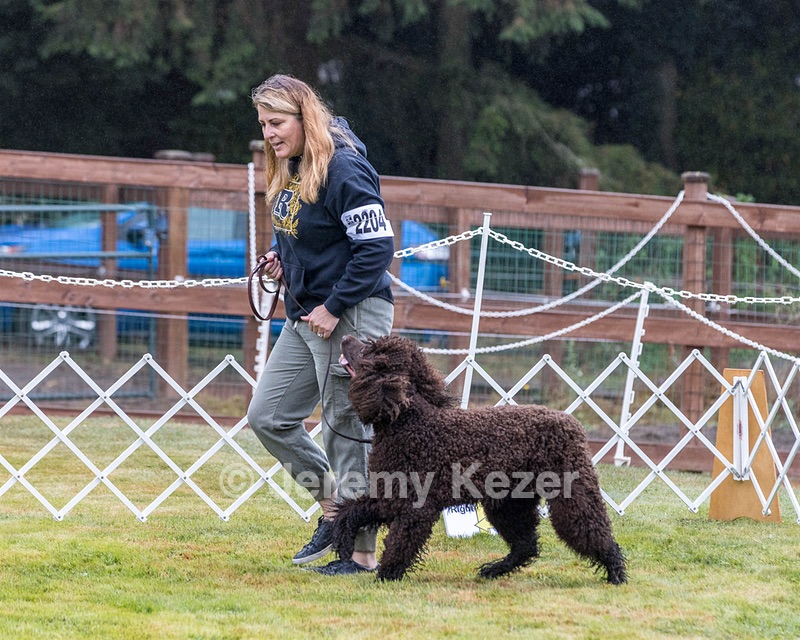 2204 - GCH CH BREKKON'S FIRST MARK CGC