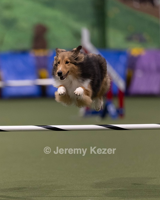 20260221-0084.jpg