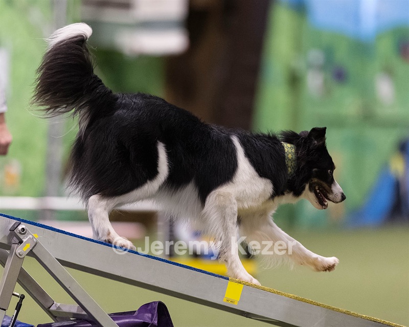 Knox Thurber