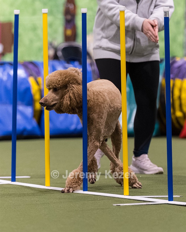 Zac