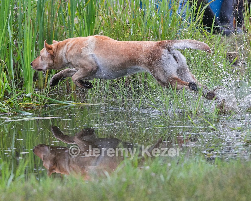 20130713-MHB2-0300.jpg