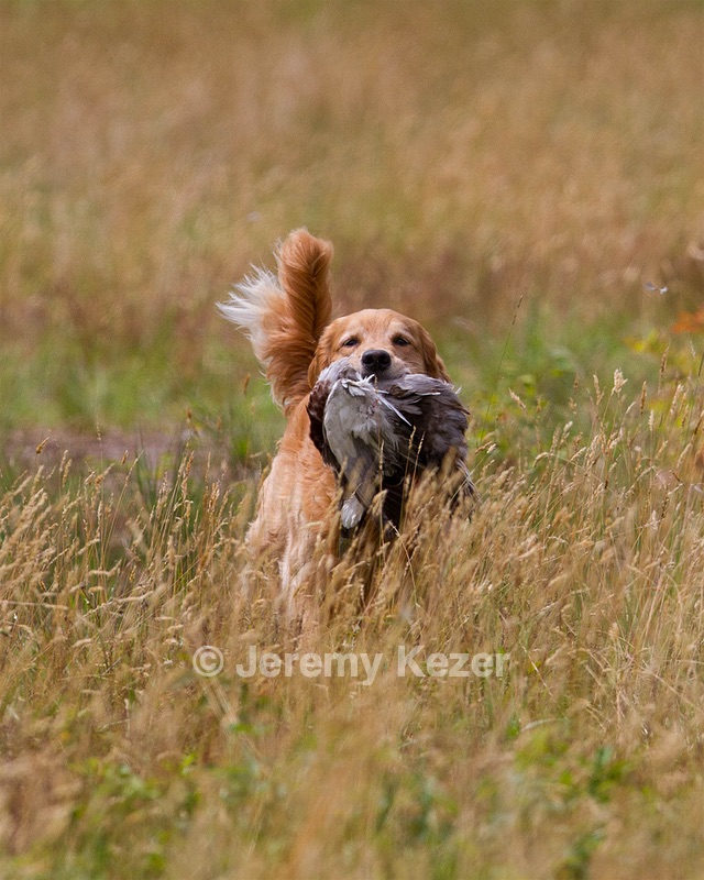 20130713-SHL-0975.jpg