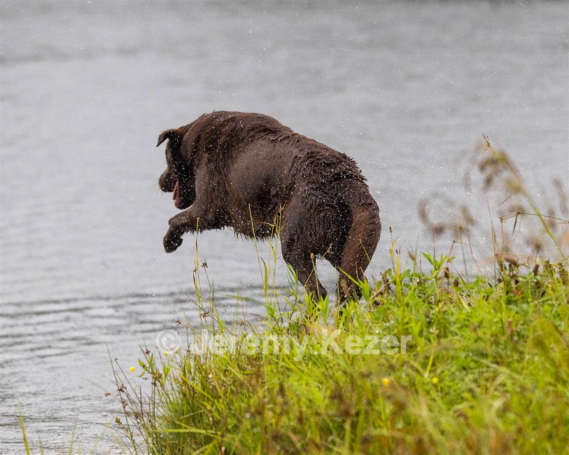Rip March