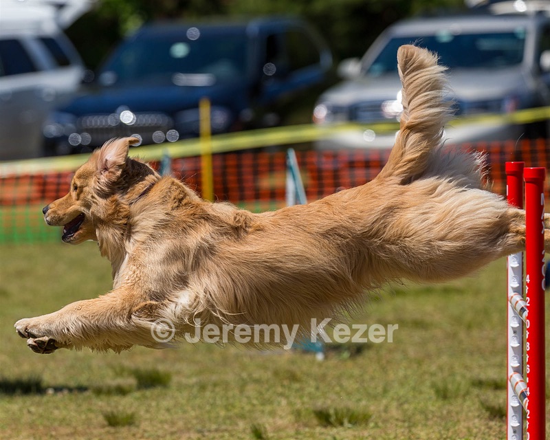 20190615-CCKC-1070.jpg