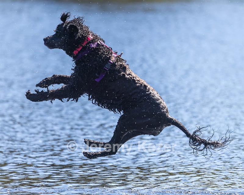 Winnie Lattrell