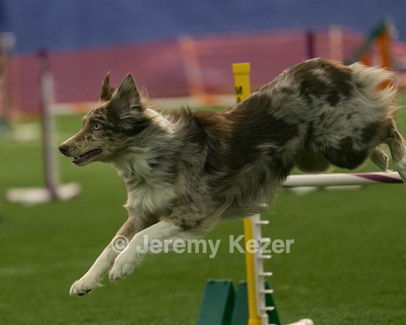 20150321-LEAP-0798.jpg