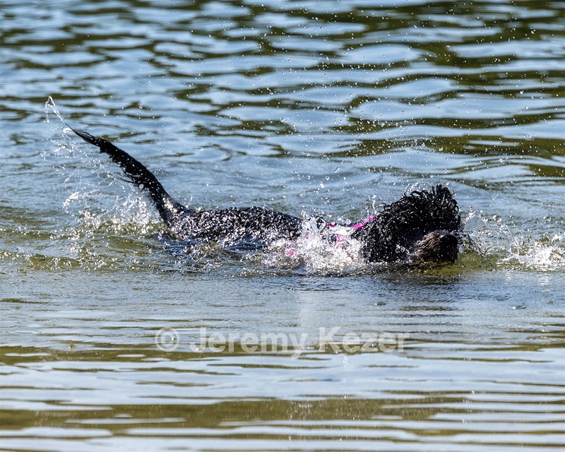 Tango Abruzzese