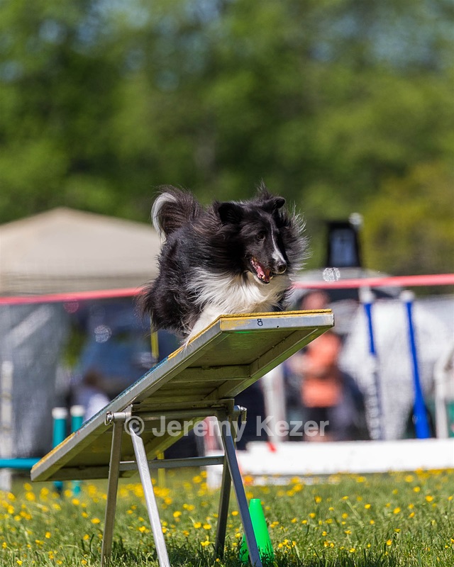 Tuukka Thibodeau