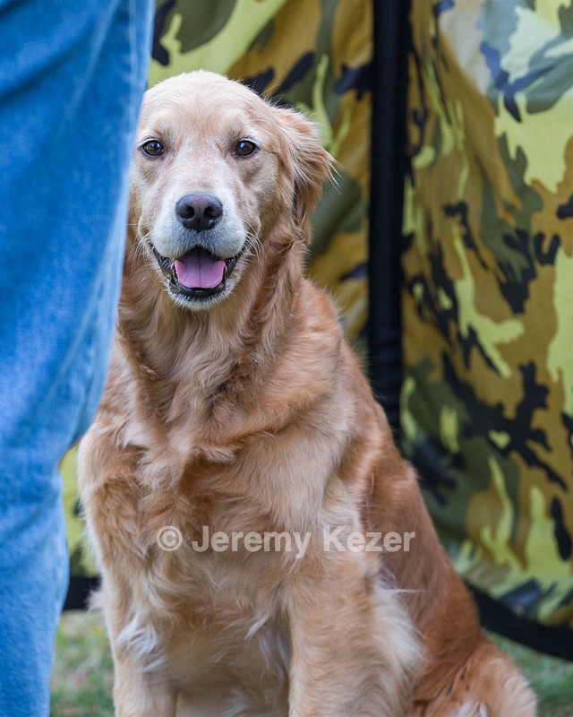 Josie