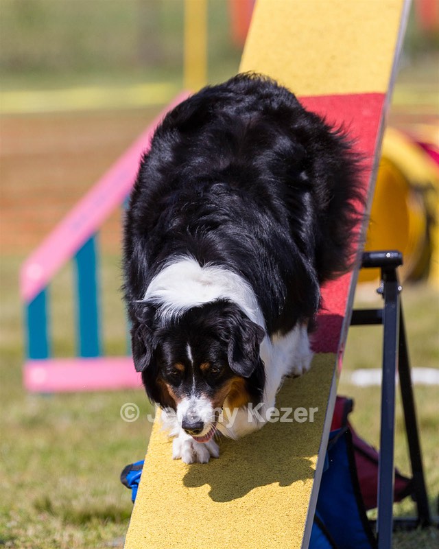Kona Destremps