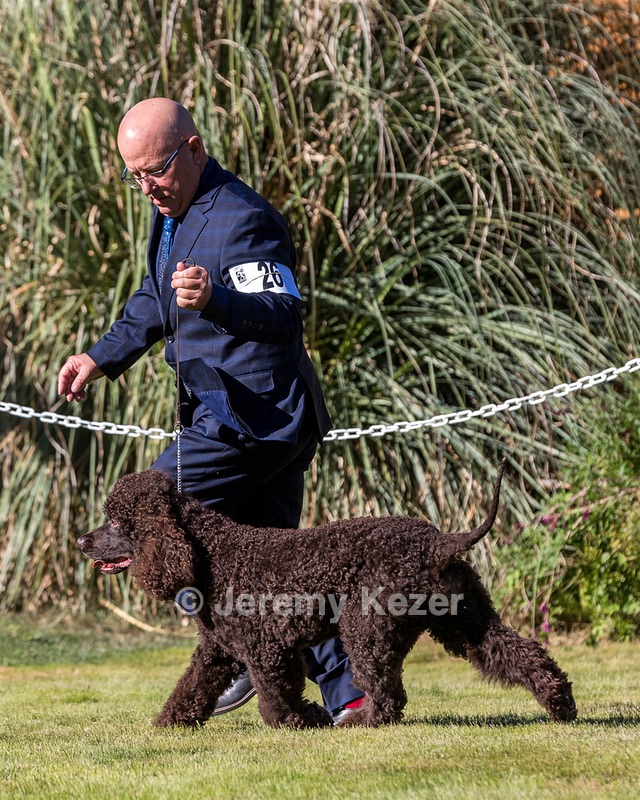 26 - H BLACKTHORN'S LASS THAT LOVES A SAILOR IN WICKLOW CD BN RM CGC