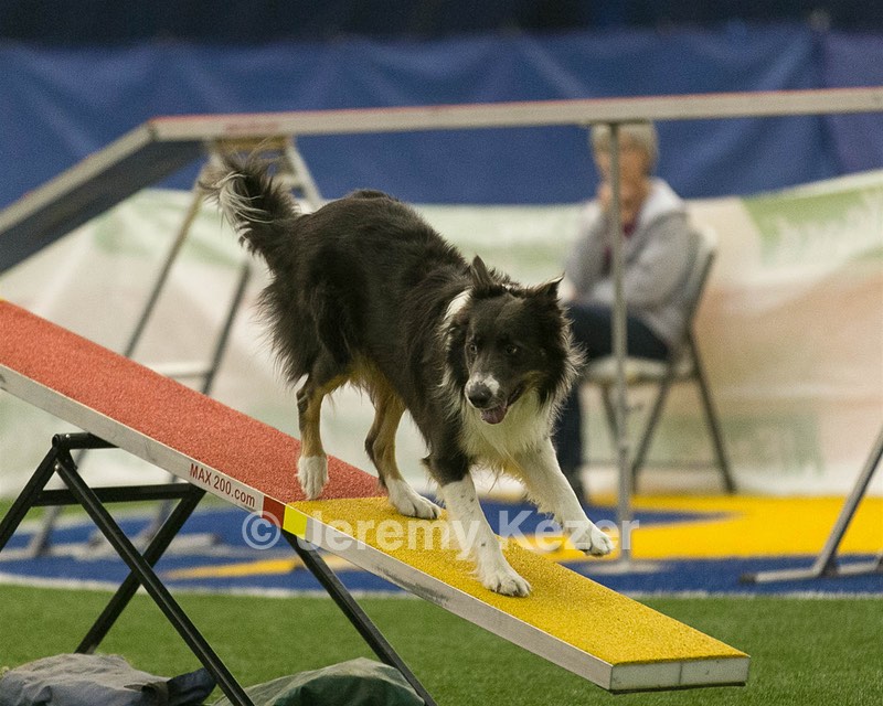 20150321-LEAP-0607.jpg