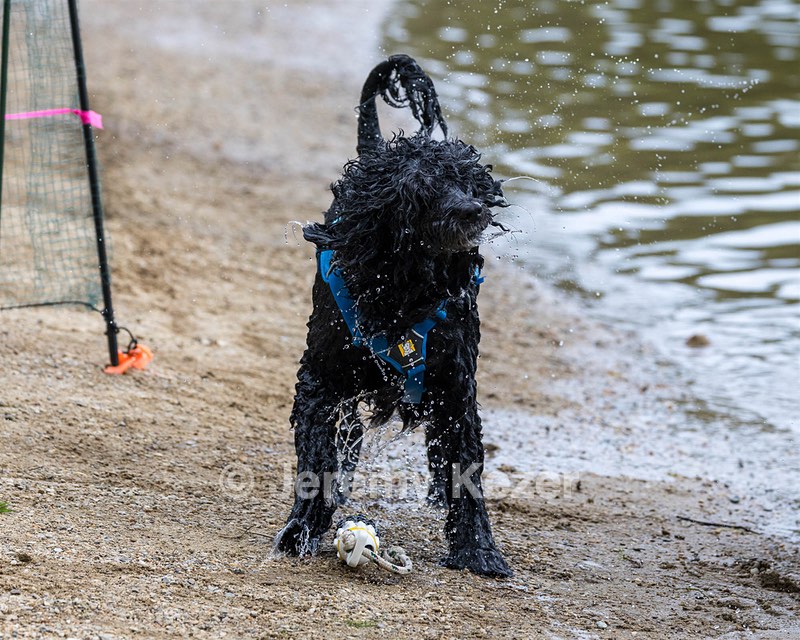 Doll Narducci