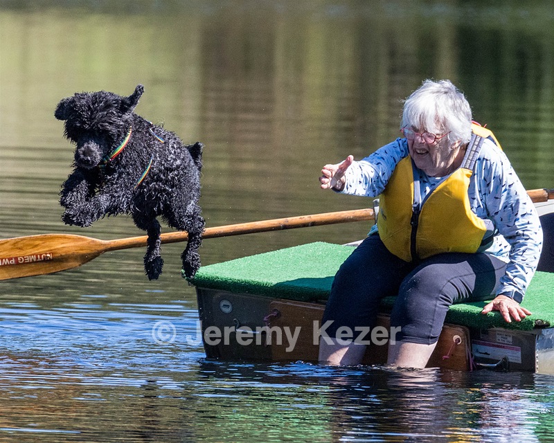 Scarlett Freeman