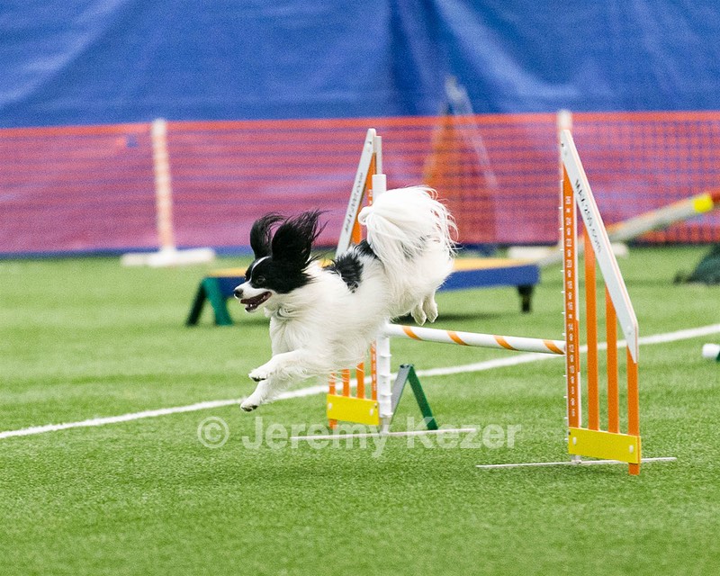 20150322-LEAP-0139.jpg