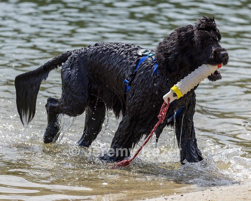 Magic Simmons