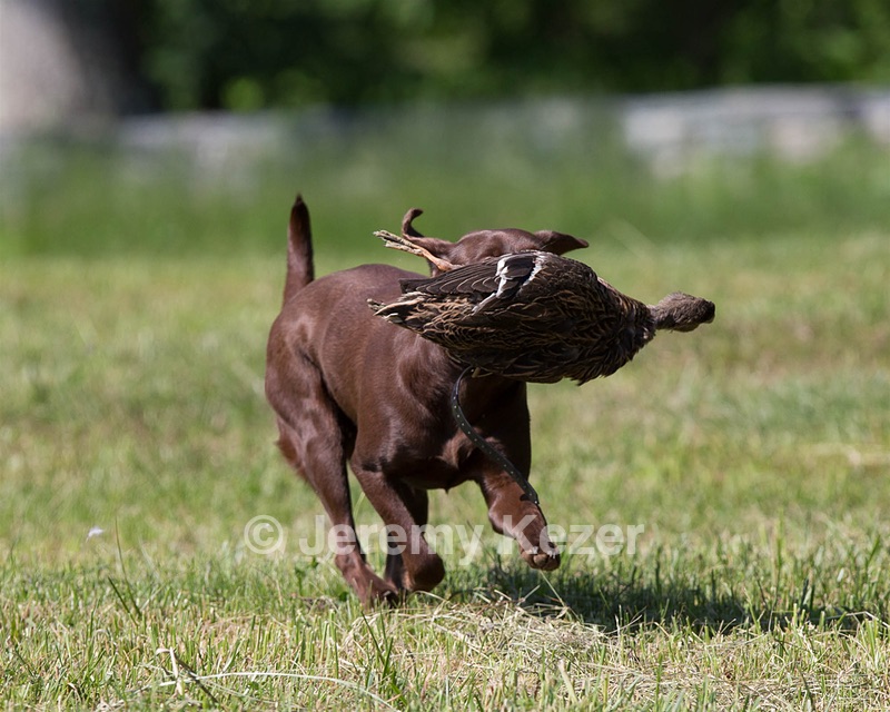 20130601-SHRL-0393.jpg