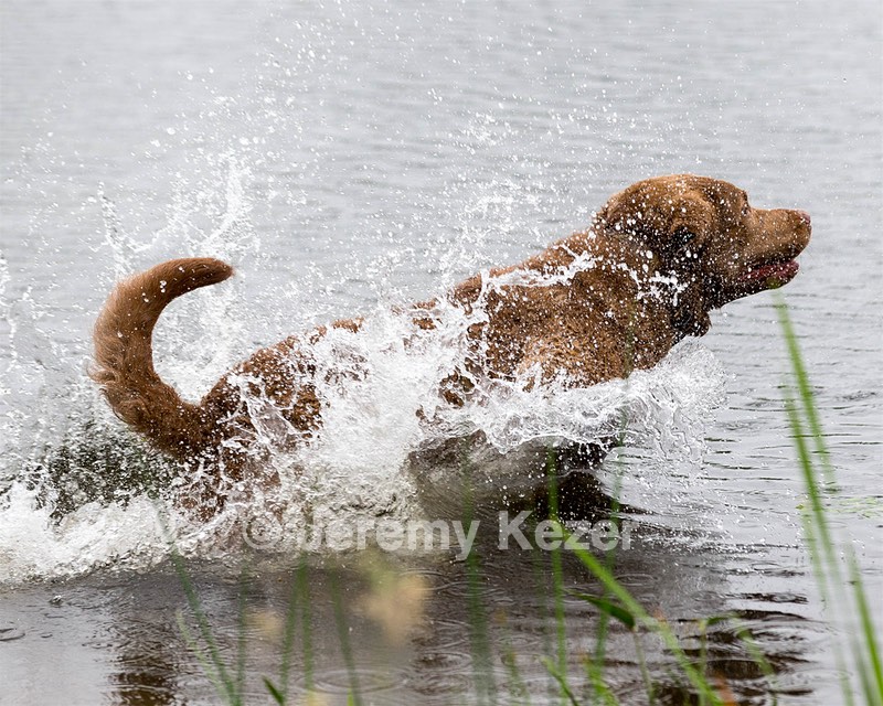 Hunter Law