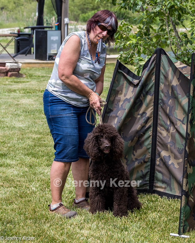 Ghillie