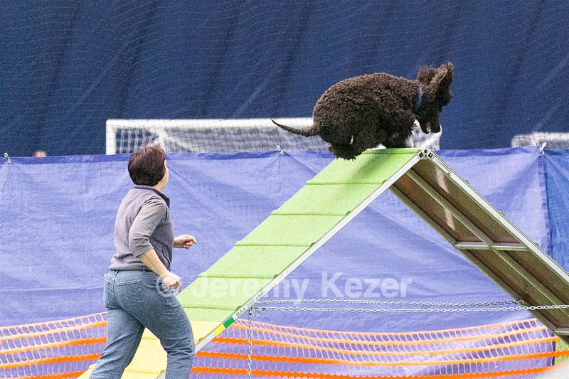 Reef Kezer