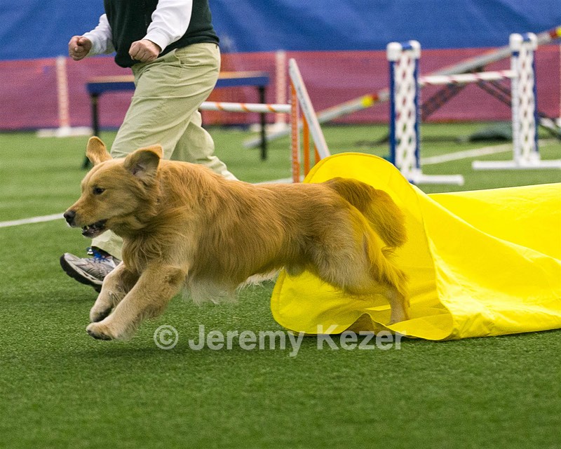 20150322-LEAP-0742.jpg