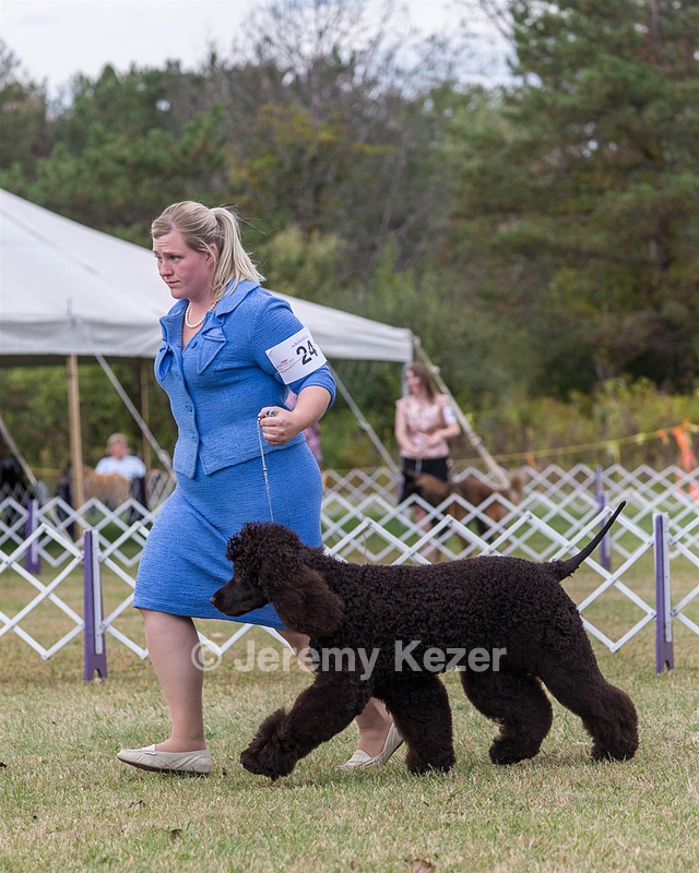 24 - GCH POOLE'S IDE SAY NO MORE CD RN CGC