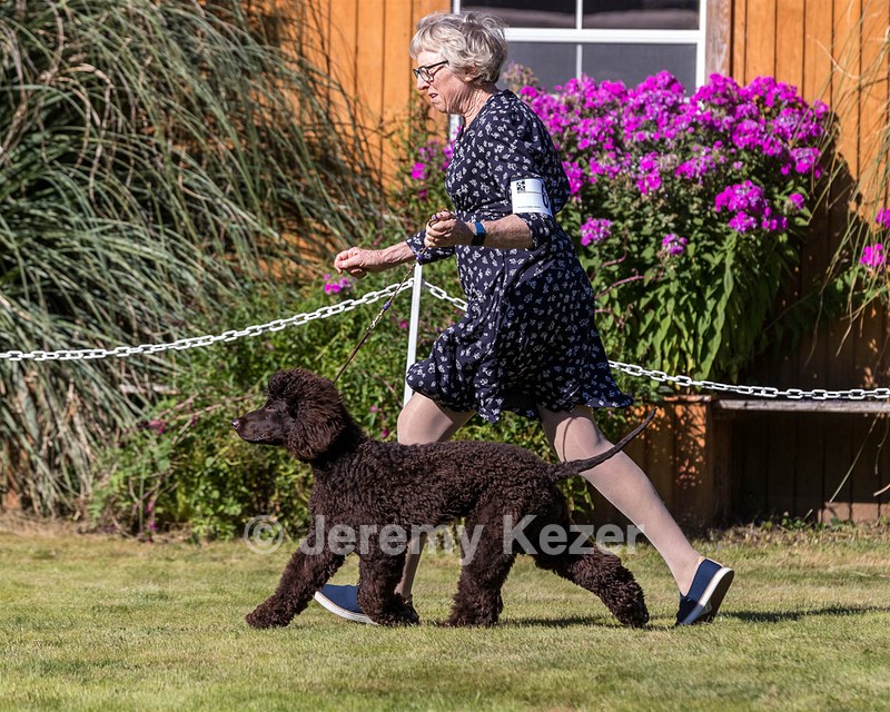 06 - FLINTCREST STEP RIGHT UP (Clara)
