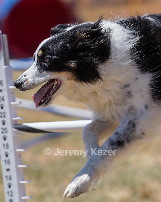 20160618-CCKC-1459.jpg