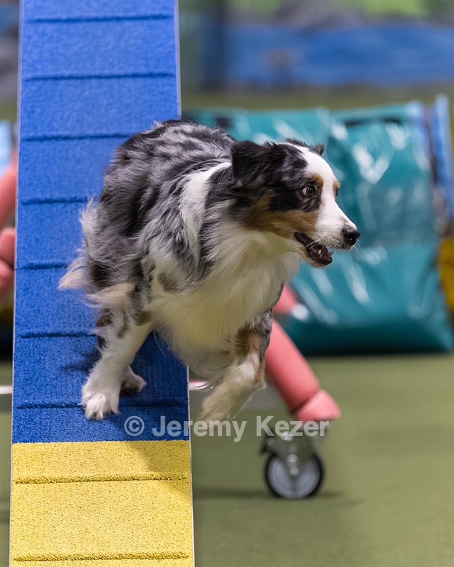 Oognah Butterworth
