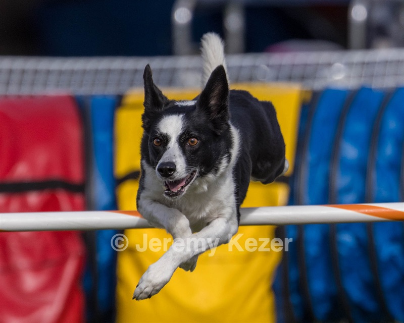 20230916-PVKC-1470-2.jpg