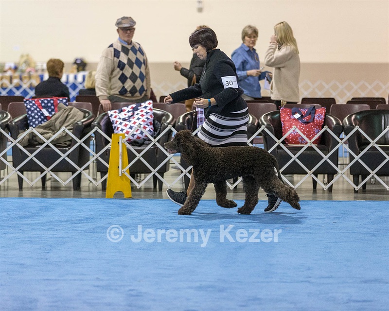 30 - GCH CH Chantico's Spirit In The Surf JH CD RA OA OAJ  NF (Selchie)