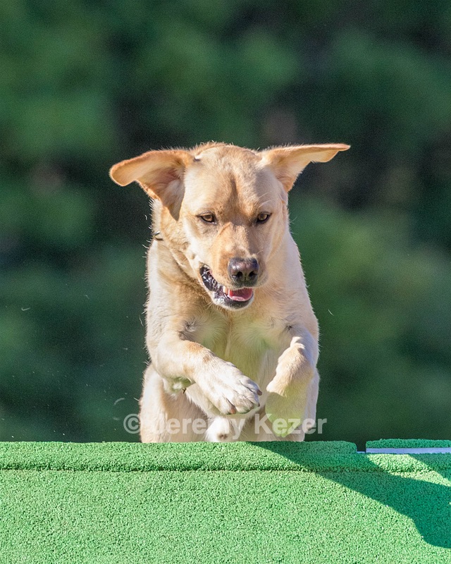 20160618-CCKC-2465.jpg