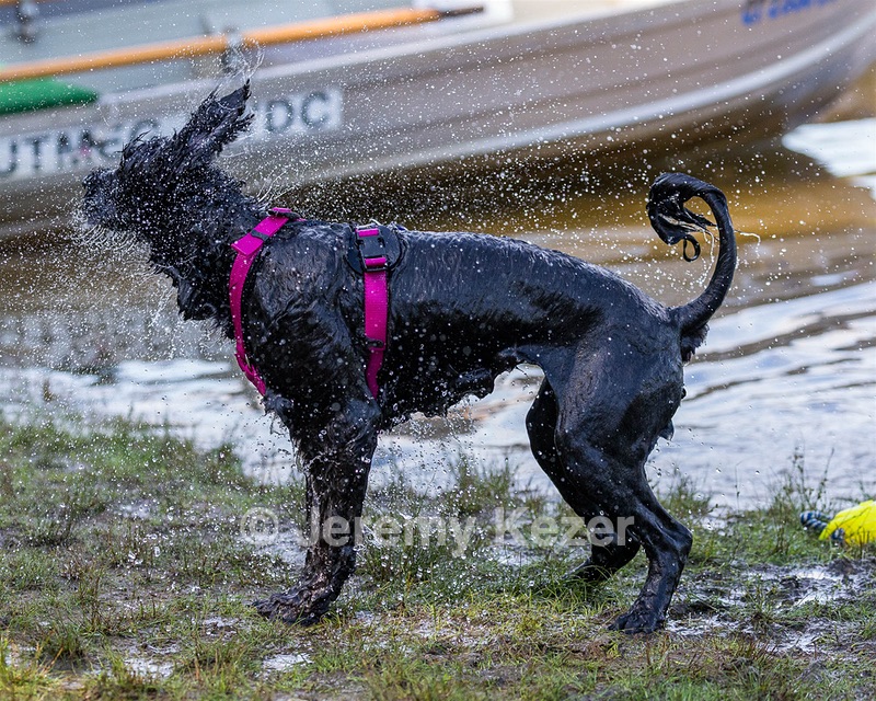 Rory