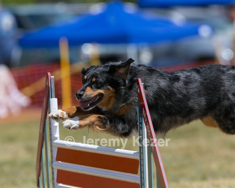 20150613-CCKC-0137.jpg