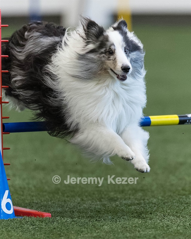 Stormy Dabrowski