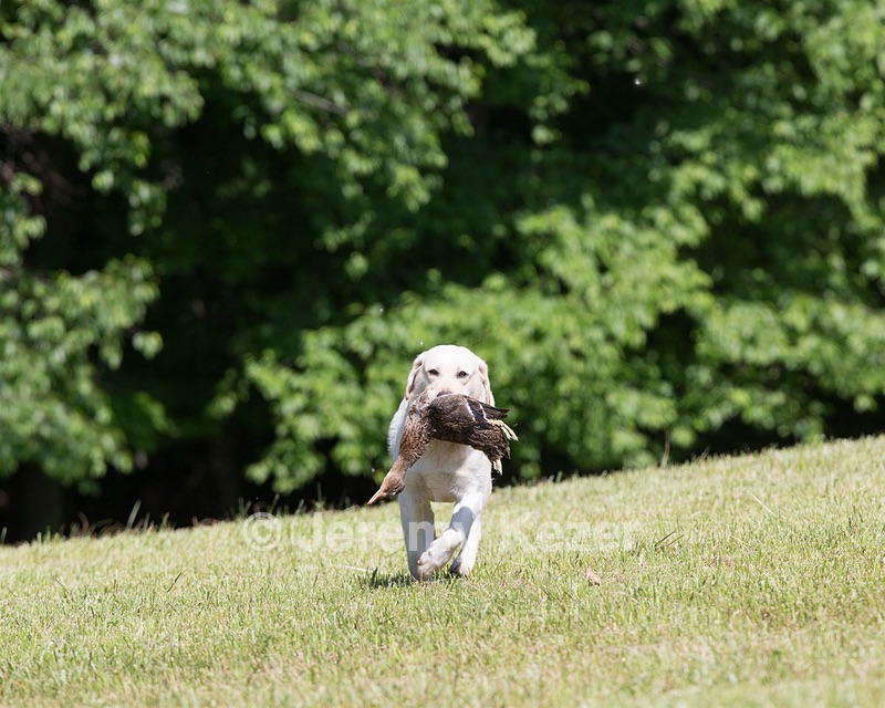 20130601-SHRL-0383.jpg