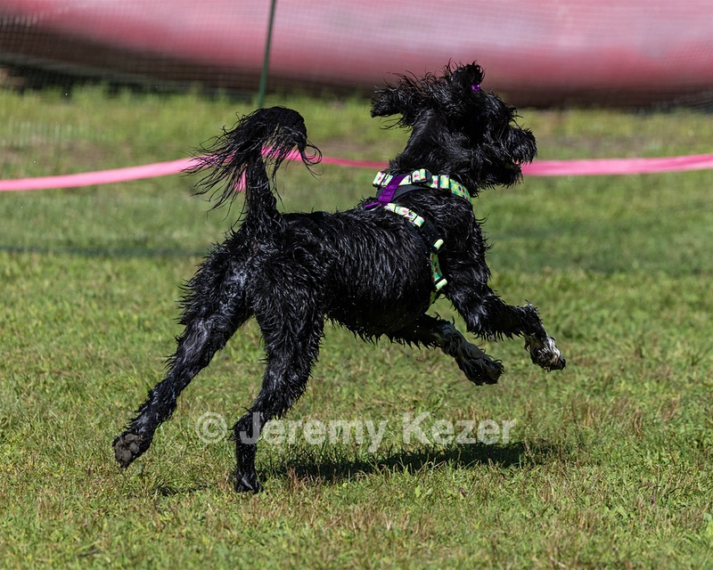 Dottie Notestine