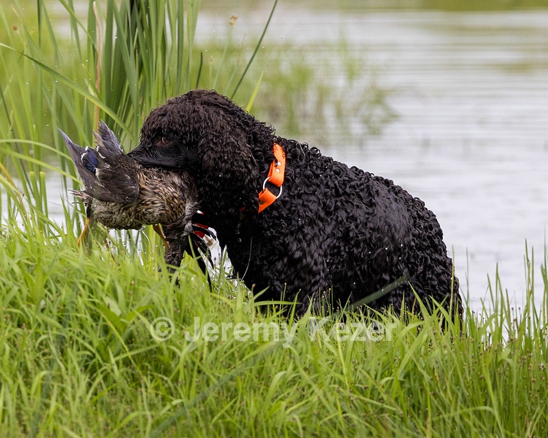 Ghillie Kezer