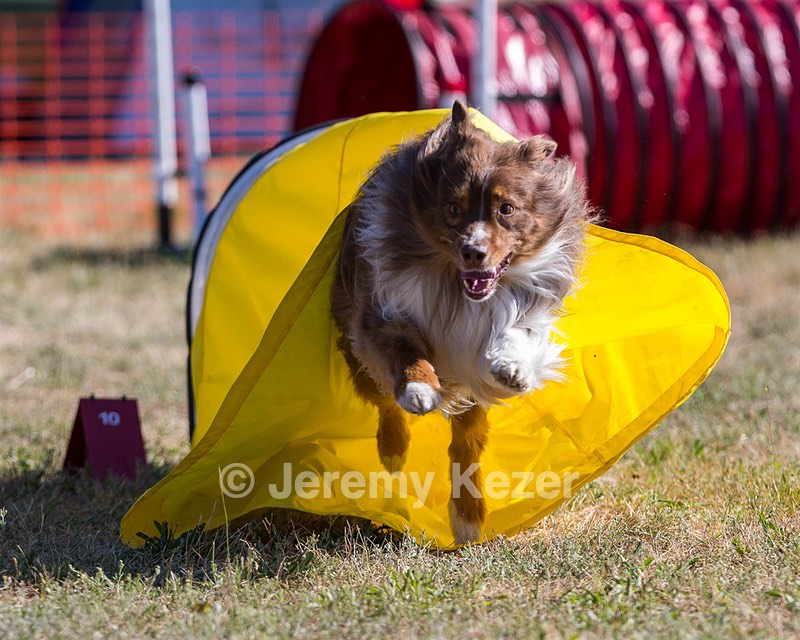Keebler Derby