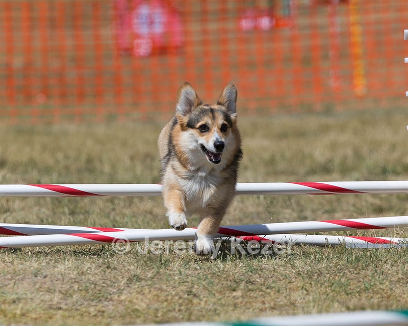 20150614-CCKC-1842.jpg
