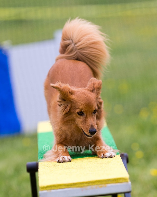 Sadie Currier