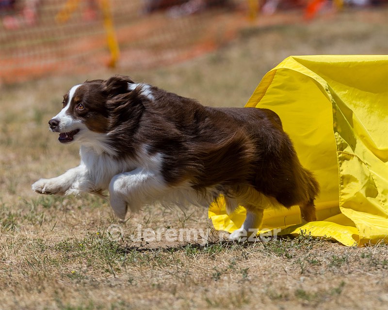 20160619-CCKC-1286.jpg
