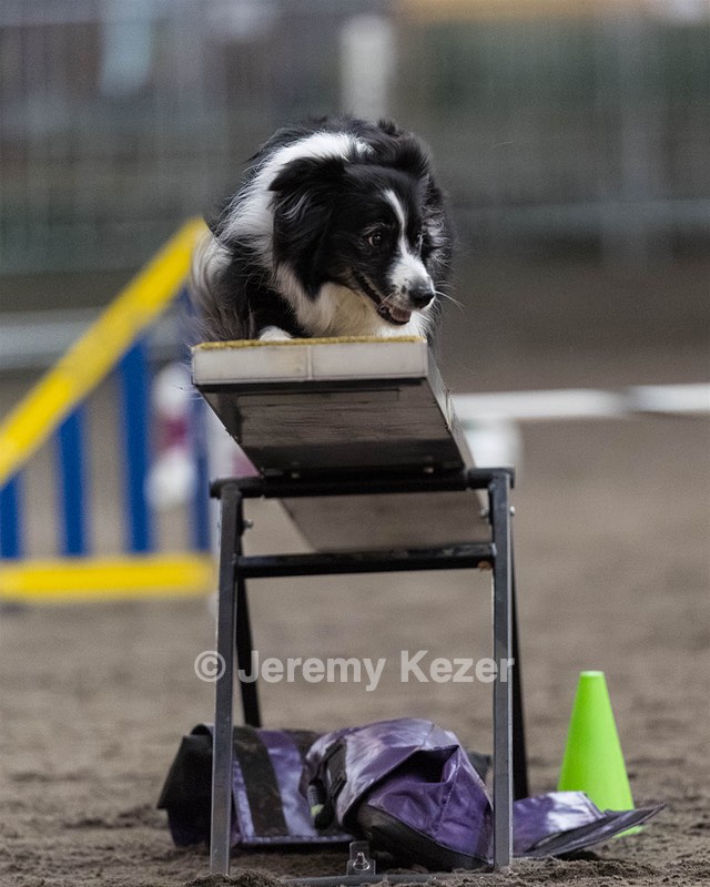 Breeze Schunk