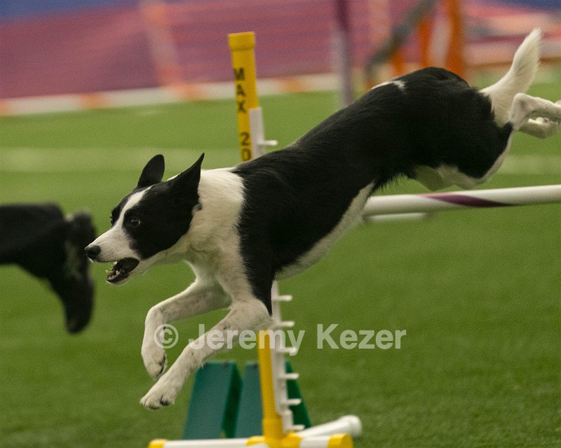 20150321-LEAP-1024.jpg