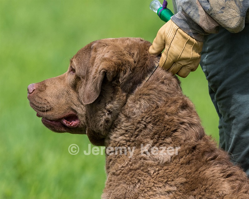 Hunter Law