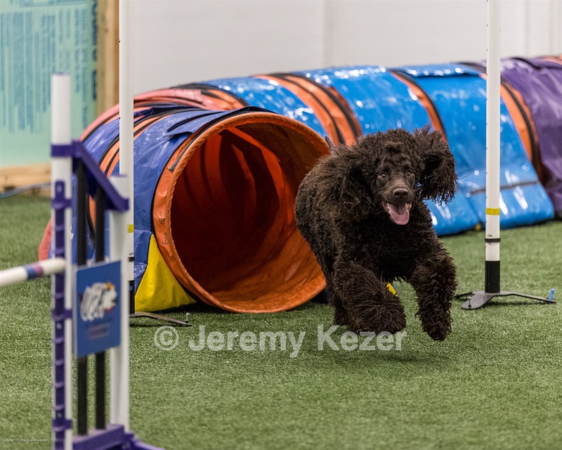 20260512-AG-0030.jpg