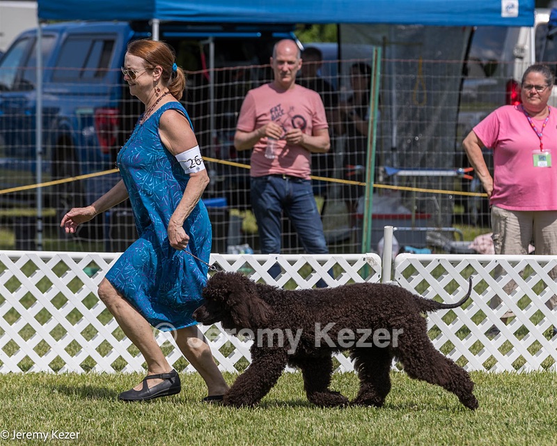 26 - Riverdance Enya Of Lake Alexander