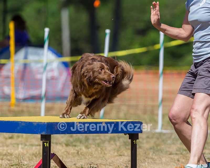 20160619-CCKC-1326.jpg
