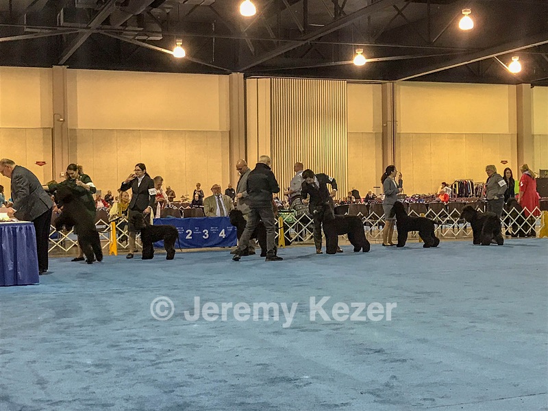 20190111-ASC-0022.jpg